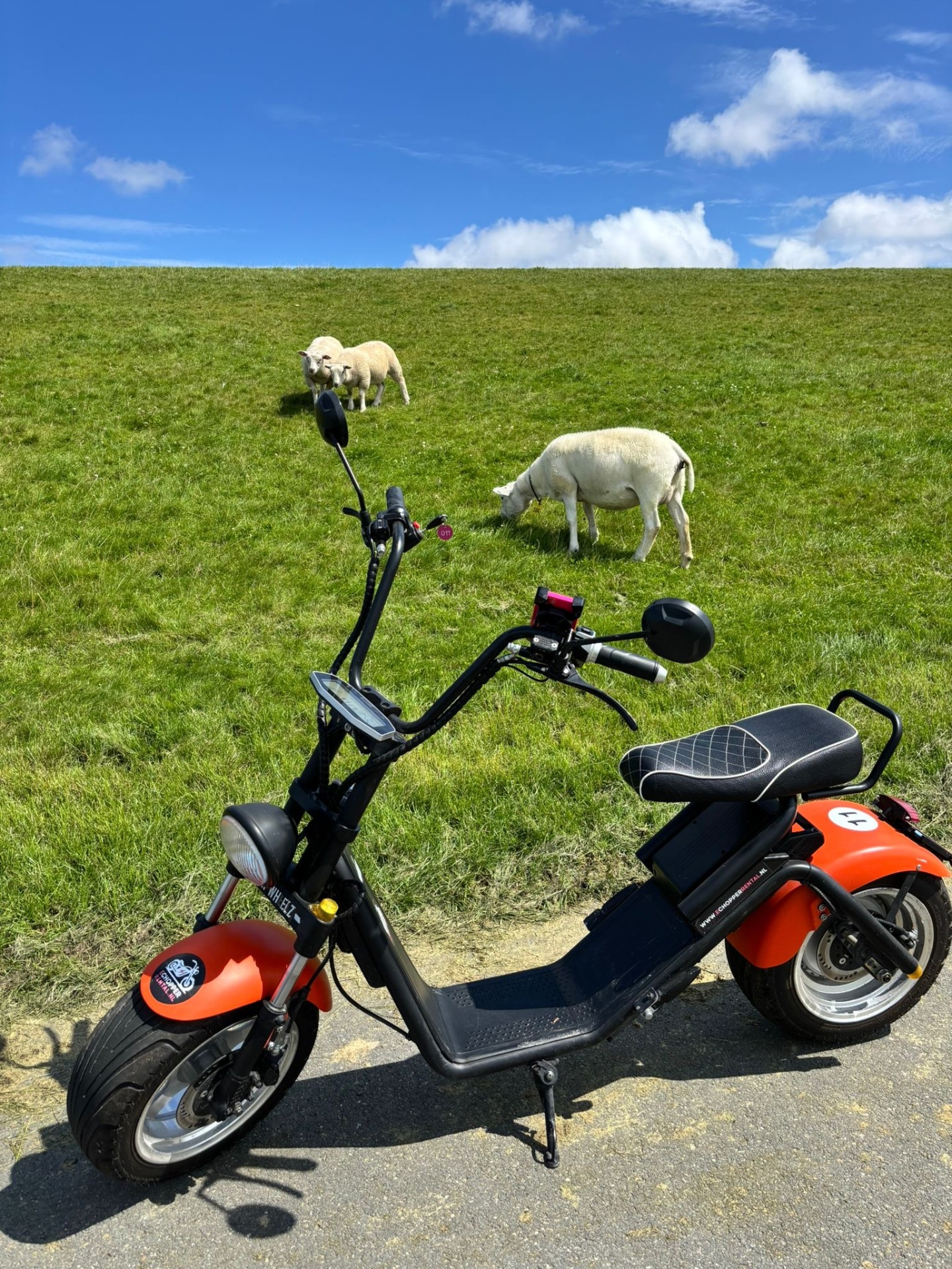 Oranje e-chopper langs een Nederlandse dijk met grazende schapen