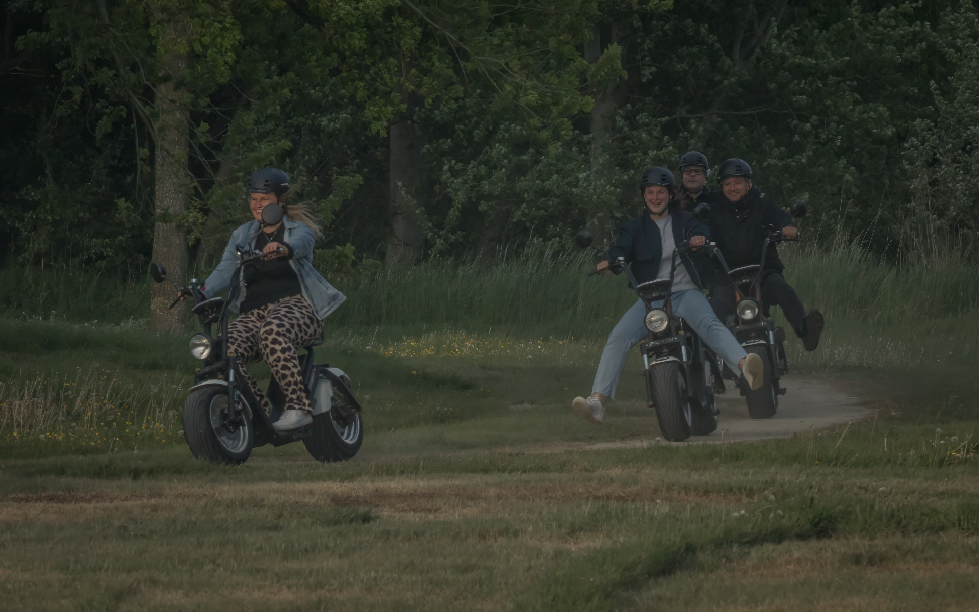 Groep rijders op gehuurde e-choppers door het Groninger groen
